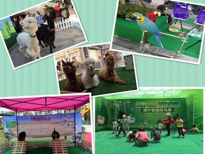 黔南州萌寵動(dòng)物展覽與經(jīng)營性演出及經(jīng)紀(jì)業(yè)務(wù)費(fèi)用明細(xì)全解析